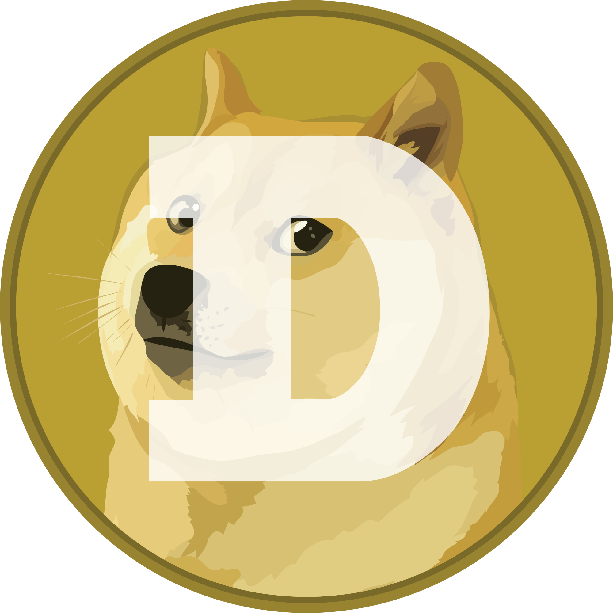 Doge Coin